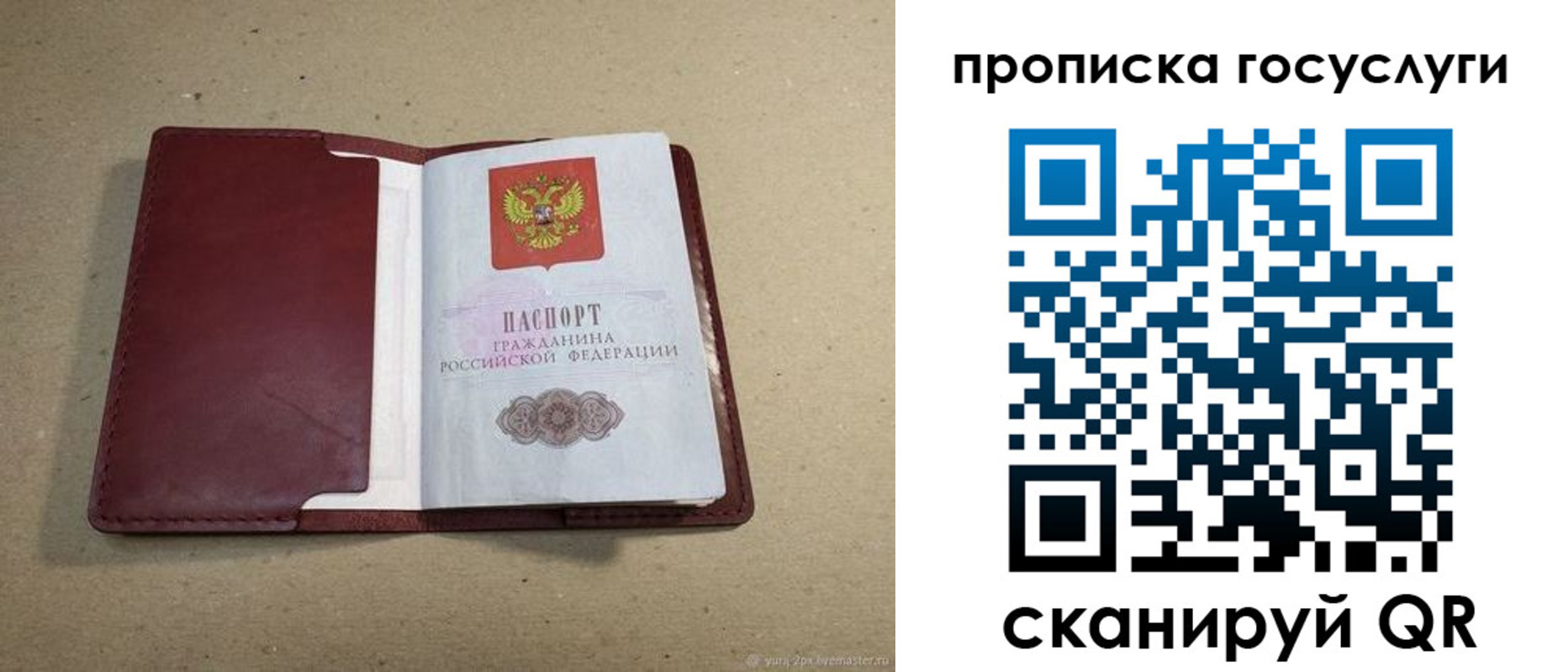 прописка поиск в Карачеве